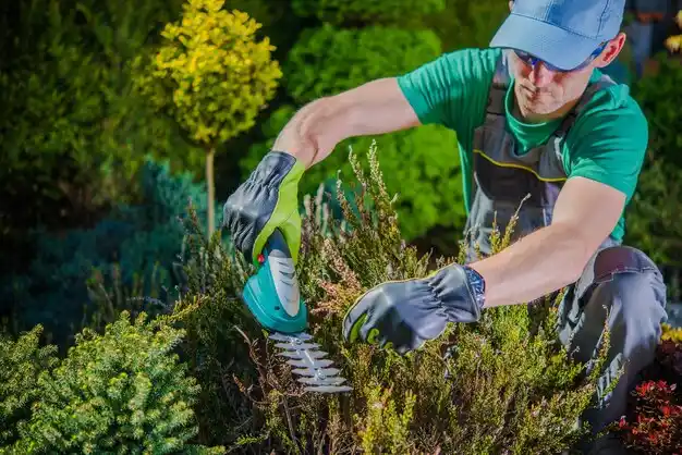 landscaping services Cuyahoga Falls